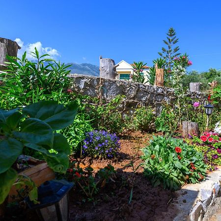 Σελήνη Apartamento Kotronion  Exterior foto