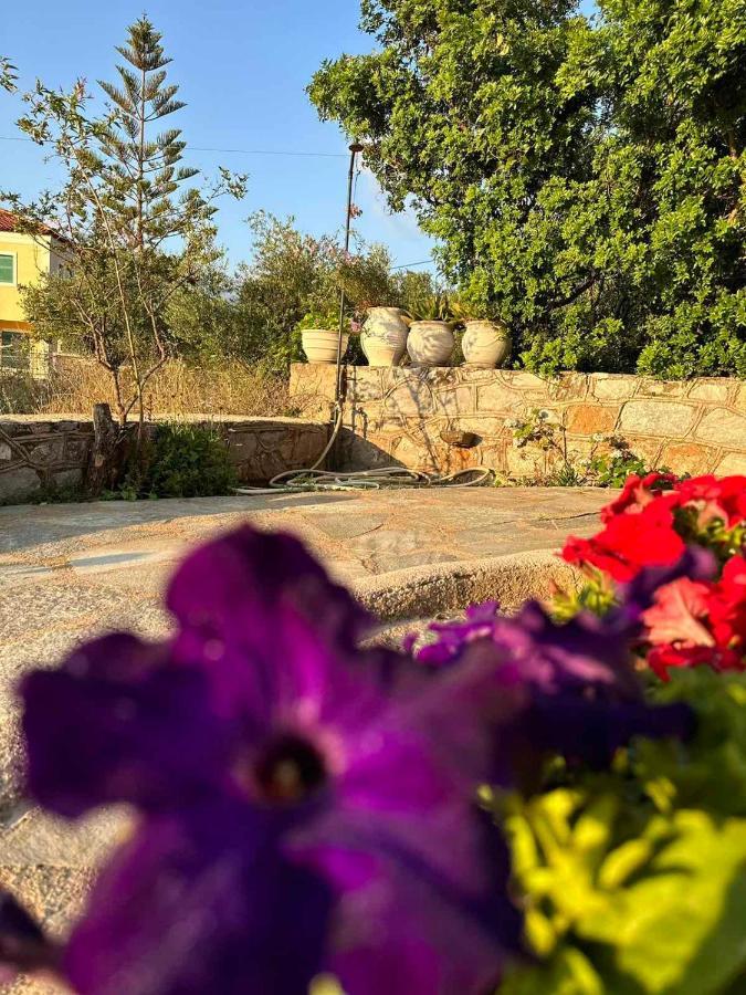 Σελήνη Apartamento Kotronion  Exterior foto